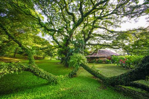 Jacó Costa Rica Accommodation Discount Booking.com