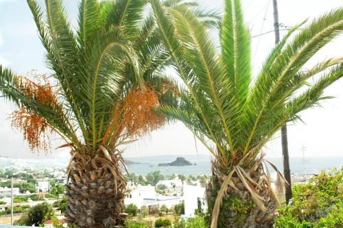Kos Island Greece Accommodation Discount Agoda.com